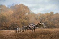 Morning Mouse Hunting Fine Art Print