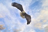 No Place Like Home Fine Art Print