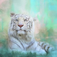 Ocean Eyes Fine Art Print