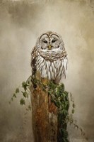 Ollie and Ivy Fine Art Print