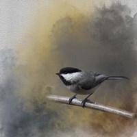 Ready For A Challenge Fine Art Print