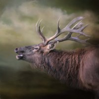 Storm Caller Fine Art Print