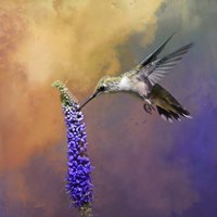 Take It From The Top Fine Art Print