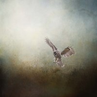 The Lone Hunter Fine Art Print