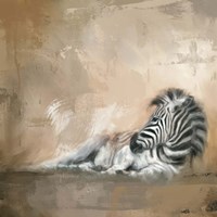 Zebra At Rest Fine Art Print