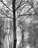 All Mimsy Were the Borogoves Fine Art Print