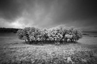 Atmospheres Fine Art Print