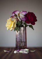 Collateral Damage Fine Art Print