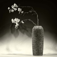 Still Life with Apple Blossoms Fine Art Print