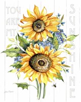 Sunshine Sunflowers A Fine Art Print