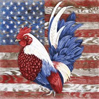 American Rooster A Fine Art Print