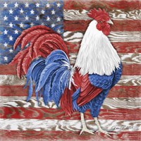 American Rooster B Fine Art Print