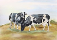 Farm Animal In Pasture B Fine Art Print