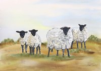 Farm Animal In Pasture C Fine Art Print