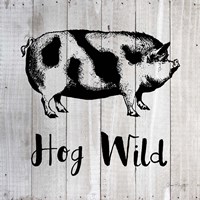 Hog Wild A Fine Art Print