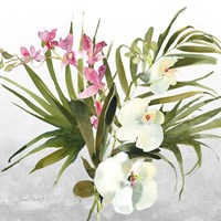 Beautiful Orchids A Fine Art Print