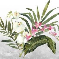Beautiful Orchids B Fine Art Print