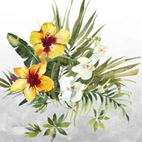 Beautiful Orchids C Fine Art Print