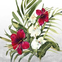 Beautiful Orchids D Framed Print