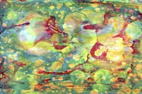 Bohemian Night Fine Art Print