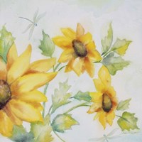 Sunny Flowers A Fine Art Print
