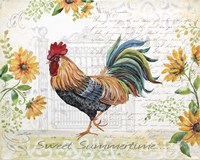 Seasonal Rooster 8 Fine Art Print