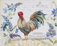 Seasonal Rooster 9 Fine Art Print