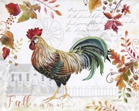 Seasonal Rooster 11 Framed Print