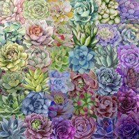 Succulent Love Fine Art Print