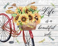 Bicycle Inspirations A Fine Art Print