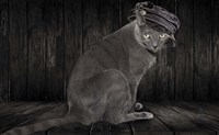 Barn Cat Fine Art Print