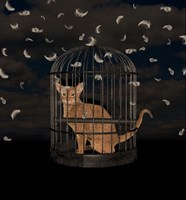 BirdCaged Cat Fine Art Print