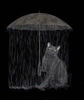 Cat in Rain Fine Art Print