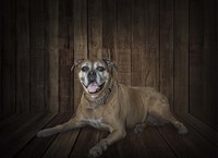 Madison Fine Art Print