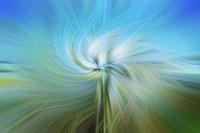 Aqua Twirl Fine Art Print