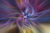 Candy Twirl Fine Art Print