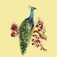 Paon Carre Fine Art Print