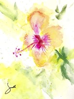 Hibiscus Fine Art Print