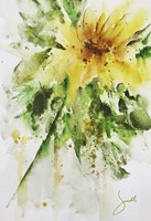 Sunflower Fine Art Print