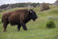 Enter the Badlands 3 Fine Art Print