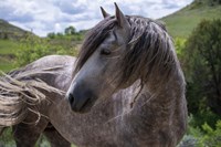 Enter the Badlands 4 Fine Art Print