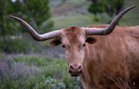 Enter the Badlands 5 Fine Art Print