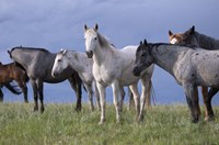 Enter the Badlands 7 Fine Art Print