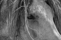 Enter the Badlands B&W 1 Fine Art Print