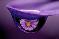 Water Drops 4 Fine Art Print