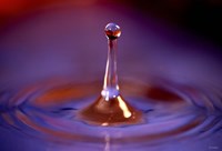 Drop Splash 2 Fine Art Print