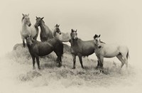 Badlands Antique 2 Fine Art Print