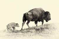 Badlands Antique 6 Fine Art Print