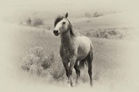 Badlands Antique 15 Fine Art Print