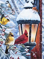 Taking the Chill off the Feathers Fine Art Print